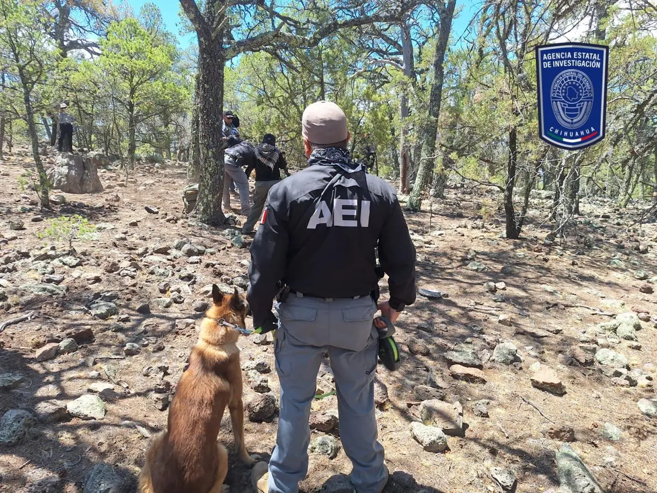 FGE Chihuahua identifica restos de dos desaparecidos en El Willy. Foto: FGE Chihuahua