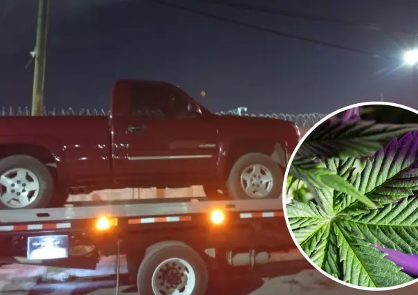 Aseguran camioneta con 100 kilos de marihuana en carretera de Ramos Arizpe