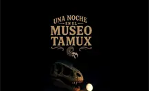 Invitan a disfrutar de Una noche en el museo en el Tamux, ¿de qué trata?