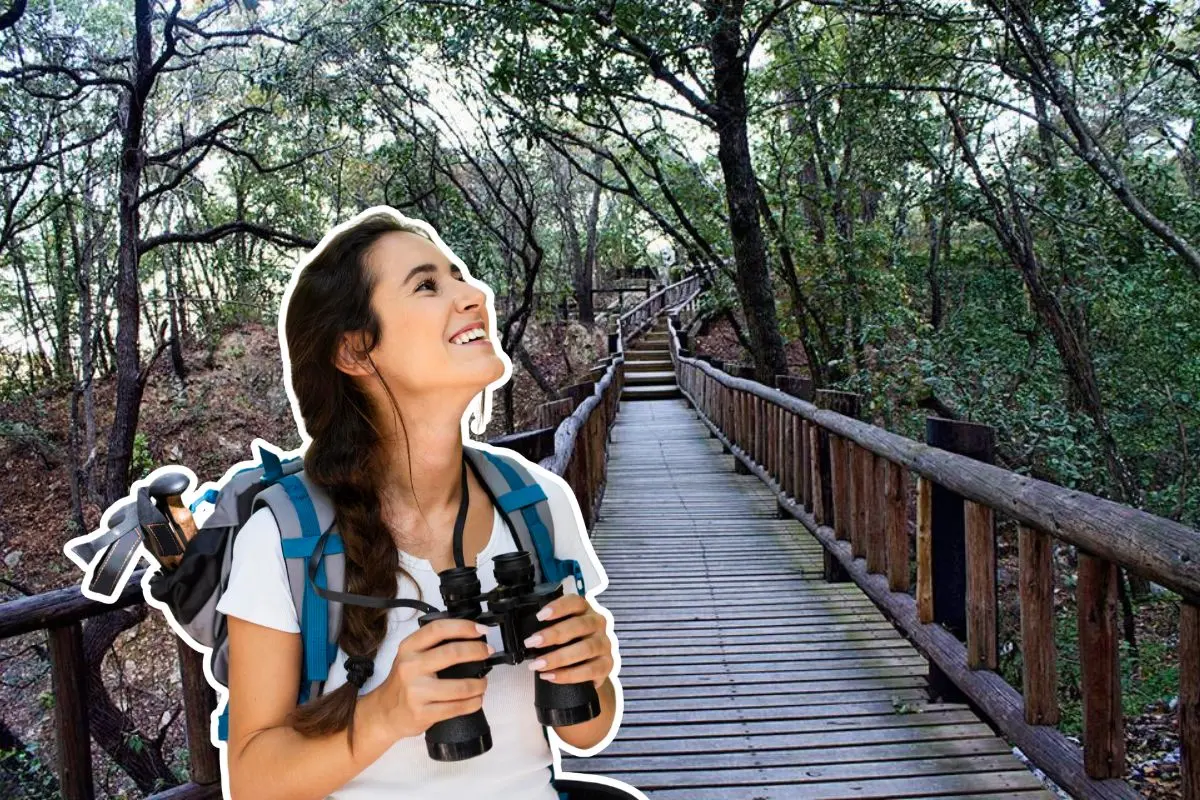 El Parque Ecológico Chipinque ofrece más de 60 km de senderos con diferentes niveles. Foto: monterrey tour / CANVA