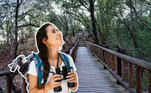 Senderismo en Nuevo León: Conoce las diversas rutas con las que cuenta este Parque Ecológico