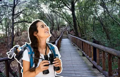 Senderismo en Nuevo León: Conoce las diversas rutas con las que cuenta este Parque Ecológico
