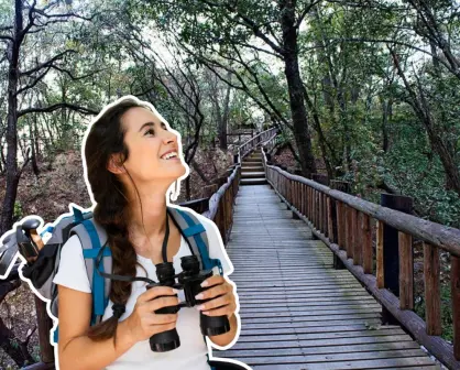 Senderismo en Nuevo León: Conoce las diversas rutas con las que cuenta este Parque Ecológico