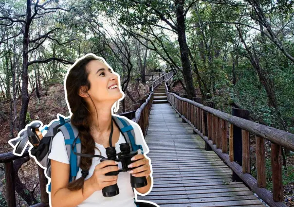Senderismo en Nuevo León: Conoce las diversas rutas con las que cuenta este Parque Ecológico