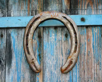 Esta superstición para atraer la buena suerte en los hogares es muy usada en Tamaulipas