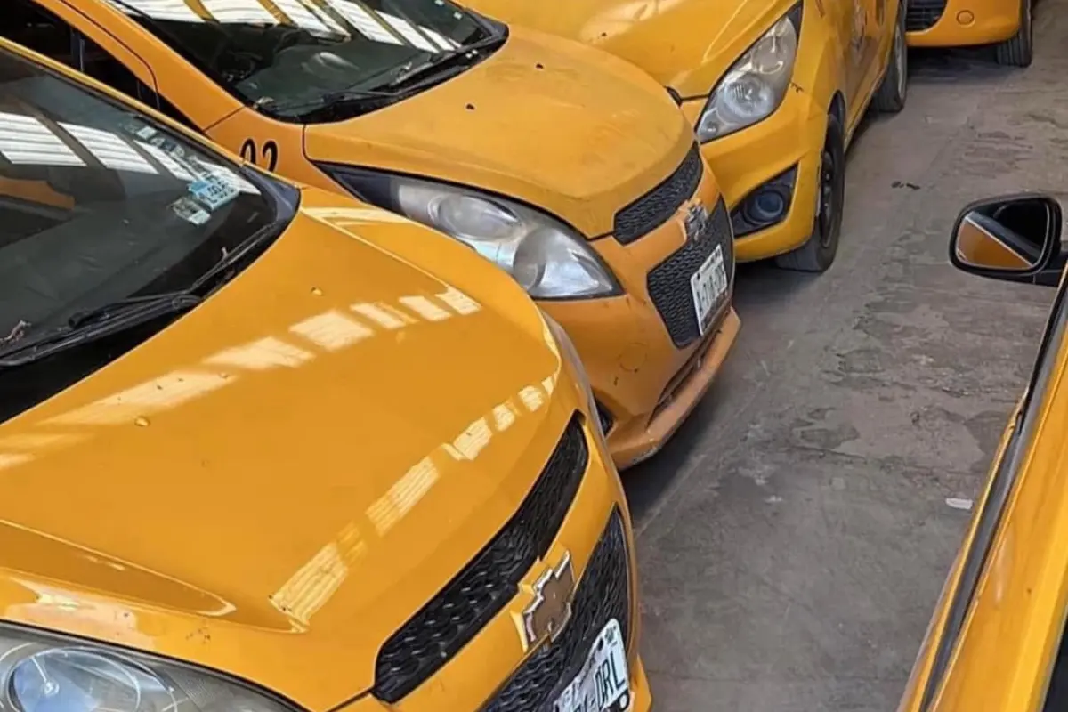 Las autoridades exhortan a los concesionarios de taxis a ponerse al día en sus verificaciones y colaborar con el proceso de modernización del transporte público./Foto: FB Frank Guzman