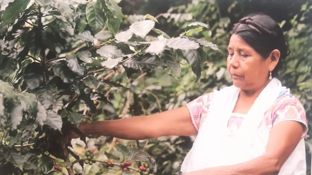 Inauguran exposición en Museo de Historia Mexicana sobre Mujeres Indígenas y la Madre Tierra