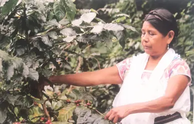 Inauguran exposición en Museo de Historia Mexicana sobre Mujeres Indígenas y la Madre Tierra