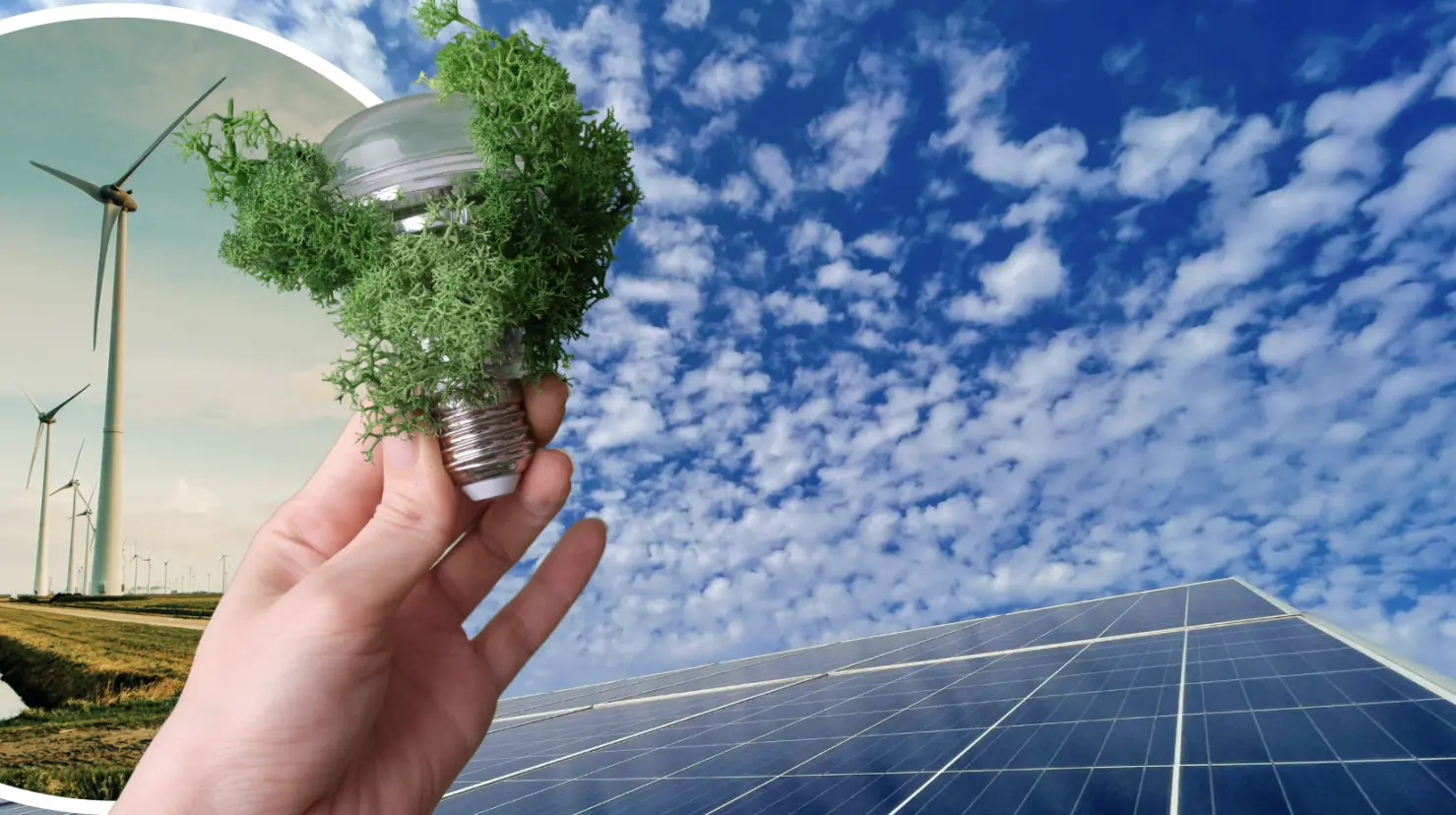 Prevén llegada de empresas de energía limpia a Coahuila / Foto: Composición de Canva