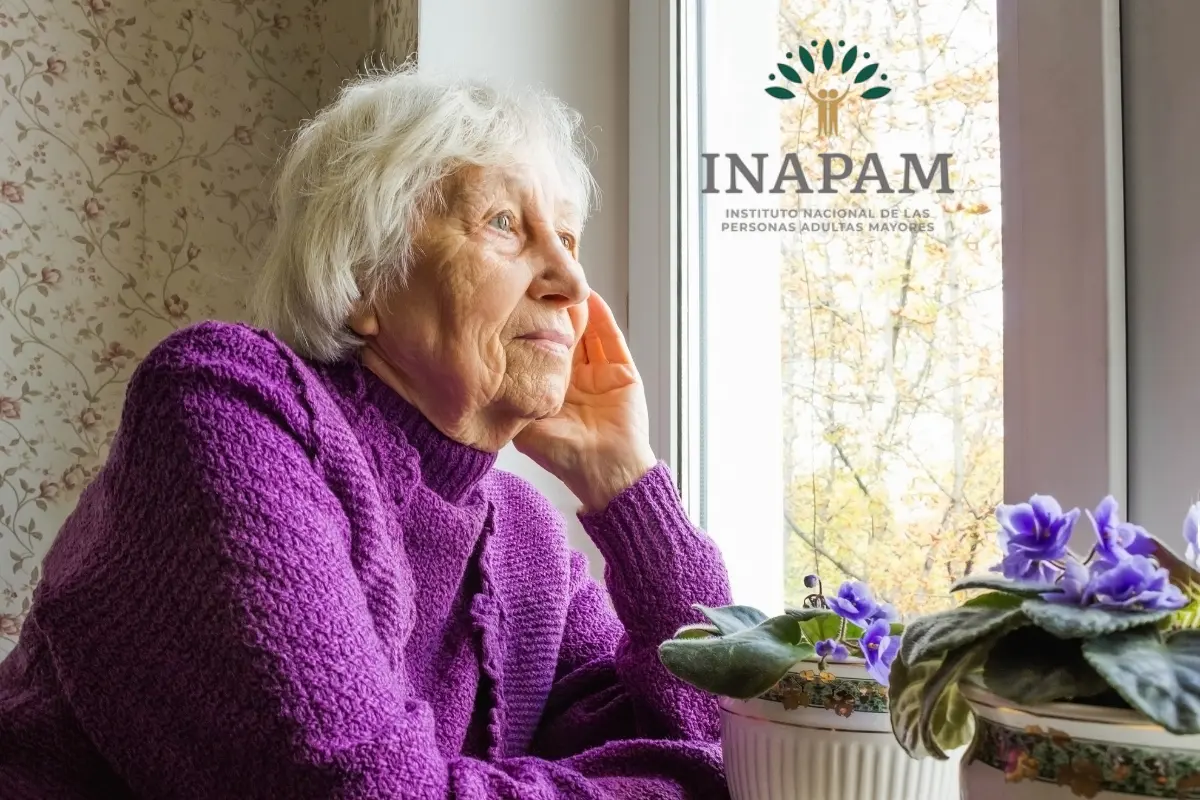 La tarjeta INAPAM ofrece múltiples beneficios, algunos no son muy conocidos. Foto: Canva | INAPAM