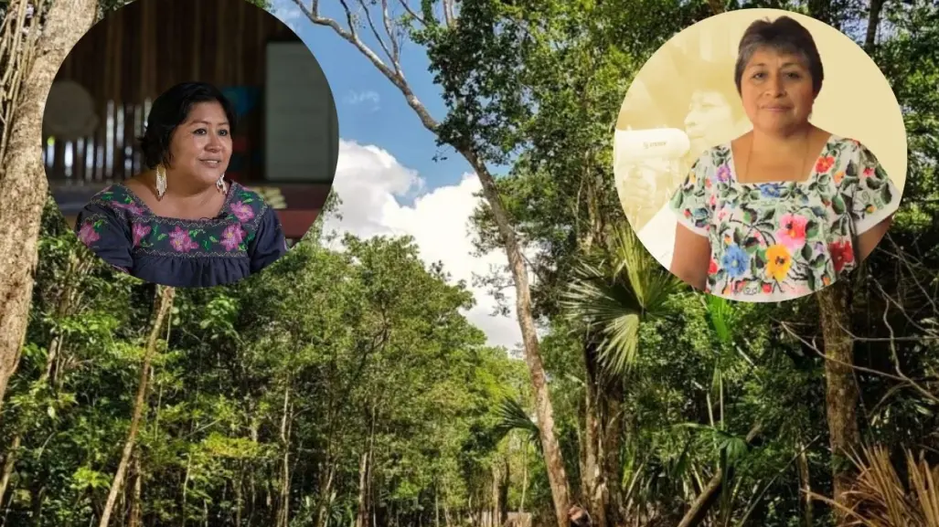 Mujeres indígenas defensoras del medio ambiente: voces que protegen Yucatán