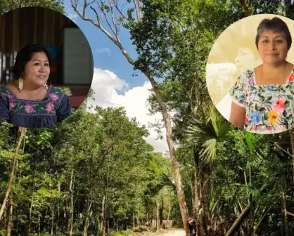 Mujeres indígenas defensoras del medio ambiente: voces que protegen Yucatán