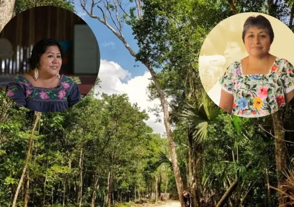 Mujeres indígenas defensoras del medio ambiente: voces que protegen Yucatán