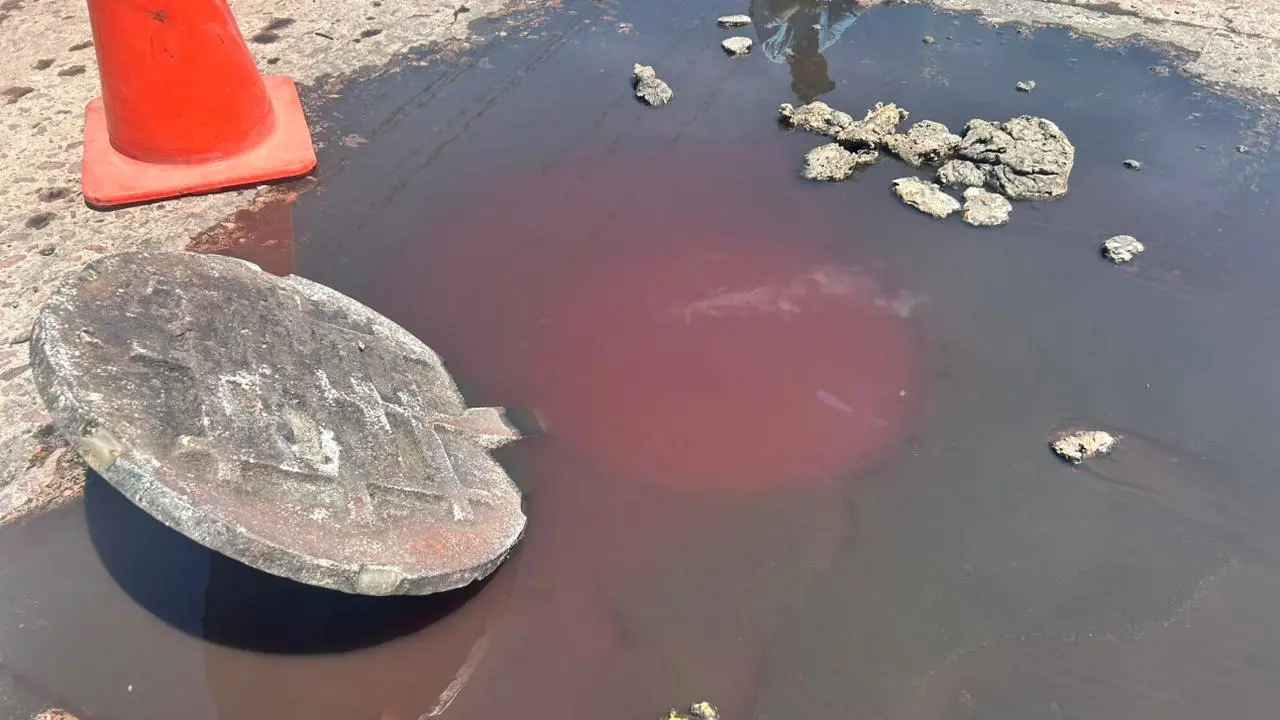 Foto: Alejandro Ávila | Una alcantarilla comenzó a brotar sangre este viernes en Durango, encontrando la razón a unos metros de distancia