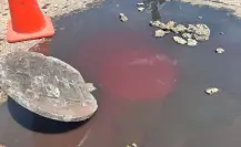 Brota sangre de una alcantarilla de Durango y descubren delito a unos metros