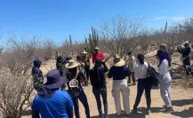 Colectivos de búsqueda alertan por posibles restos humanos tras lluvias de Lorena en Los Cabos