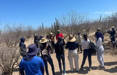 Colectivos de búsqueda alertan por posibles restos humanos tras lluvias de Lorena en Los Cabos