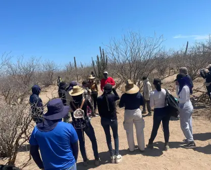 Colectivos de búsqueda alertan por posibles restos humanos tras lluvias de Lorena en Los Cabos