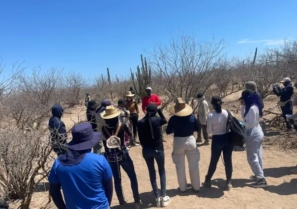 Colectivos de búsqueda alertan por posibles restos humanos tras lluvias de Lorena en Los Cabos