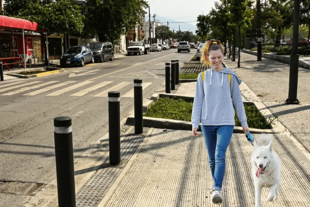 Nuevo León avanza en la creación de corredores verdes con más de 100 km proyectados. Foto: Canva.