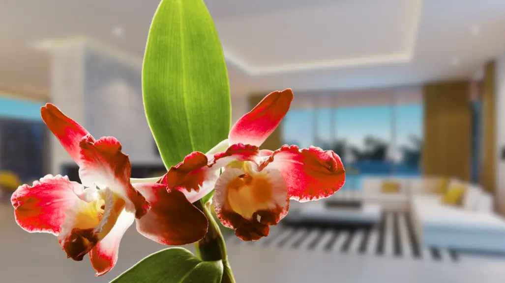 Descubre la planta roja perfecta para darle vida y estilo a tu casa
