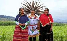 Edomex reduce pobreza en mujeres, jóvenes y adultos mayores con programas sociales