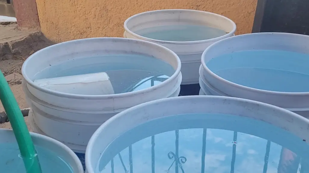 Así puedes proteger tu salud de alergias y mosquitos tras las lluvias de Lorena en BCS