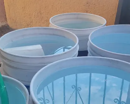 Así puedes proteger tu salud de alergias y mosquitos tras las lluvias de Lorena en BCS
