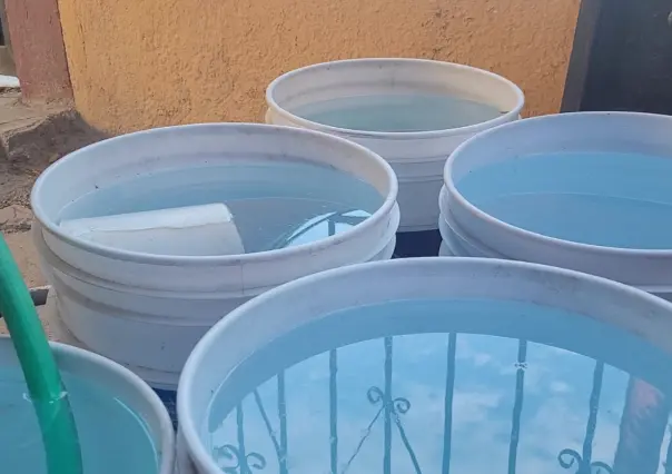 Así puedes proteger tu salud de alergias y mosquitos tras las lluvias de Lorena en BCS