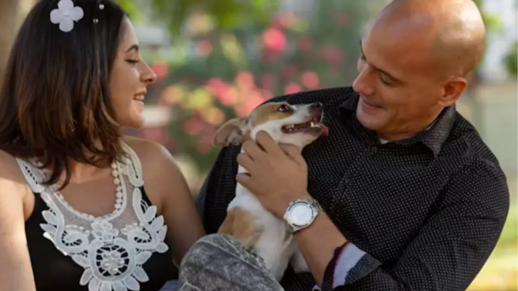 Tenencia de mascotas  será decidida legalmente en Tamaulipas al divorciarse