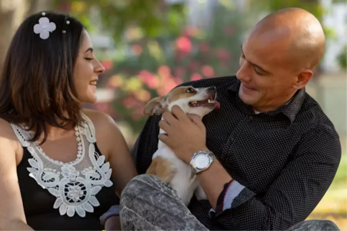 Descubre cómo se decide la custodia de mascotas en divorcios en Tamaulipas