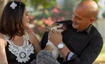 Tenencia de mascotas  será decidida legalmente en Tamaulipas al divorciarse