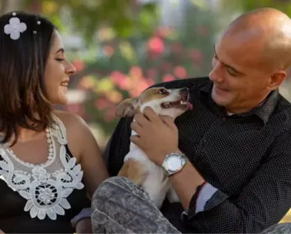 Tenencia de mascotas  será decidida legalmente en Tamaulipas al divorciarse