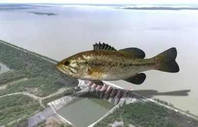 Nuevo León repoblará presas con lobina negra para impulsar la pesca deportiva y el turismo