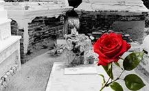 Si llevas una rosa a esta tumba de San José del Cabo, tu deseo se hará realidad