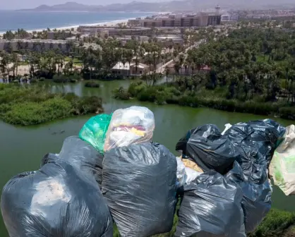 Así avanzan las labores de limpieza en el Estero de San José del Cabo
