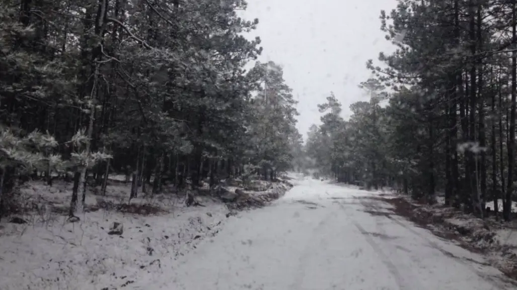 Las zonas de Durango que, según el Atlas de Riesgos, son vulnerables a nevadas