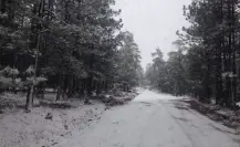 Las zonas de Durango que, según el Atlas de Riesgos, son vulnerables a nevadas