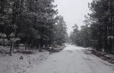 Las zonas de Durango que, según el Atlas de Riesgos, son vulnerables a nevadas
