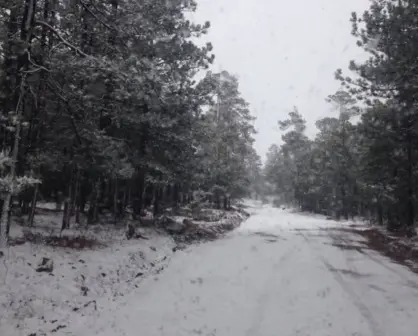 Las zonas de Durango que, según el Atlas de Riesgos, son vulnerables a nevadas
