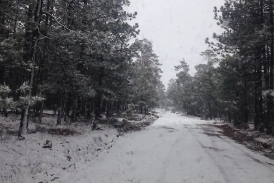 Las zonas de Durango que, según el Atlas de Riesgos, son vulnerables a nevadas