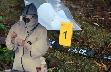 Asi puedes ser oficial investigador B o perito profesional B en la especialidad de medicina forense