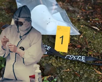 Asi puedes ser oficial investigador B o perito profesional B en la especialidad de medicina forense
