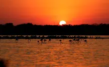 Otoño en Yucatán: esta es la fecha en la que inicia y los cambios que trae
