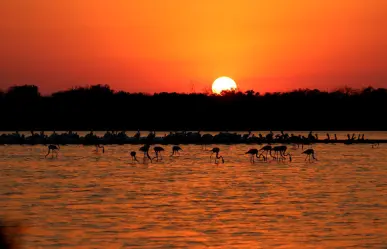 Otoño en Yucatán: esta es la fecha en la que inicia y los cambios que trae