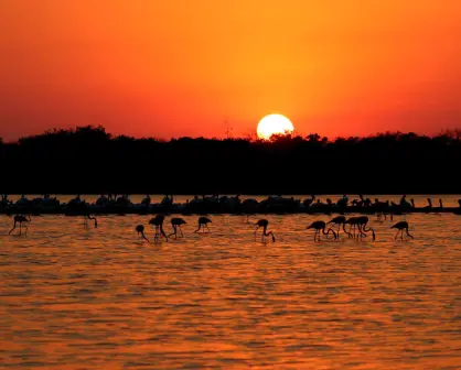 Otoño en Yucatán: esta es la fecha en la que inicia y los cambios que trae