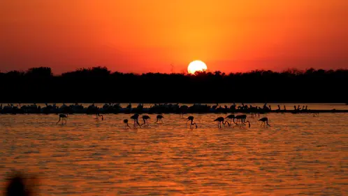 Otoño en Yucatán: esta es la fecha en la que inicia y los cambios que trae