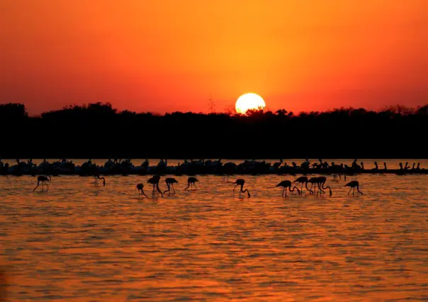 Otoño en Yucatán: esta es la fecha en la que inicia y los cambios que trae