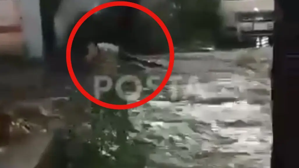 VIDEO l Momento de pánico; mujer fue arrastrada por corriente en Santa Catarina