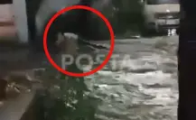 VIDEO l Momento de pánico; mujer fue arrastrada por corriente en Santa Catarina